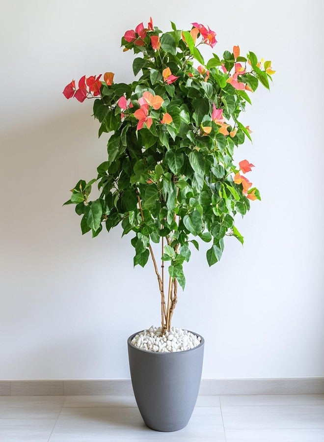 أحجار نهرية طبيعية بيضاء من LOOIOOJ، أحجار زخرفية بحجم 1-1.5 بوصة للنباتات والحدائق وتنسيق المناظر الطبيعية - 10 أرطال، مثالية لأحواض الأسماك والمزهريات والأعمال الحرفية وديكور المنزل وتنسيق الحدائق الخارجية - Image 5